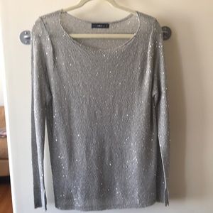 3/$25 Zara silver sequenced top